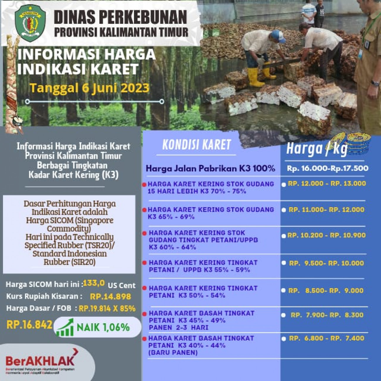 Informasi Harga Indikasi Karet Per 6 Juni 2023