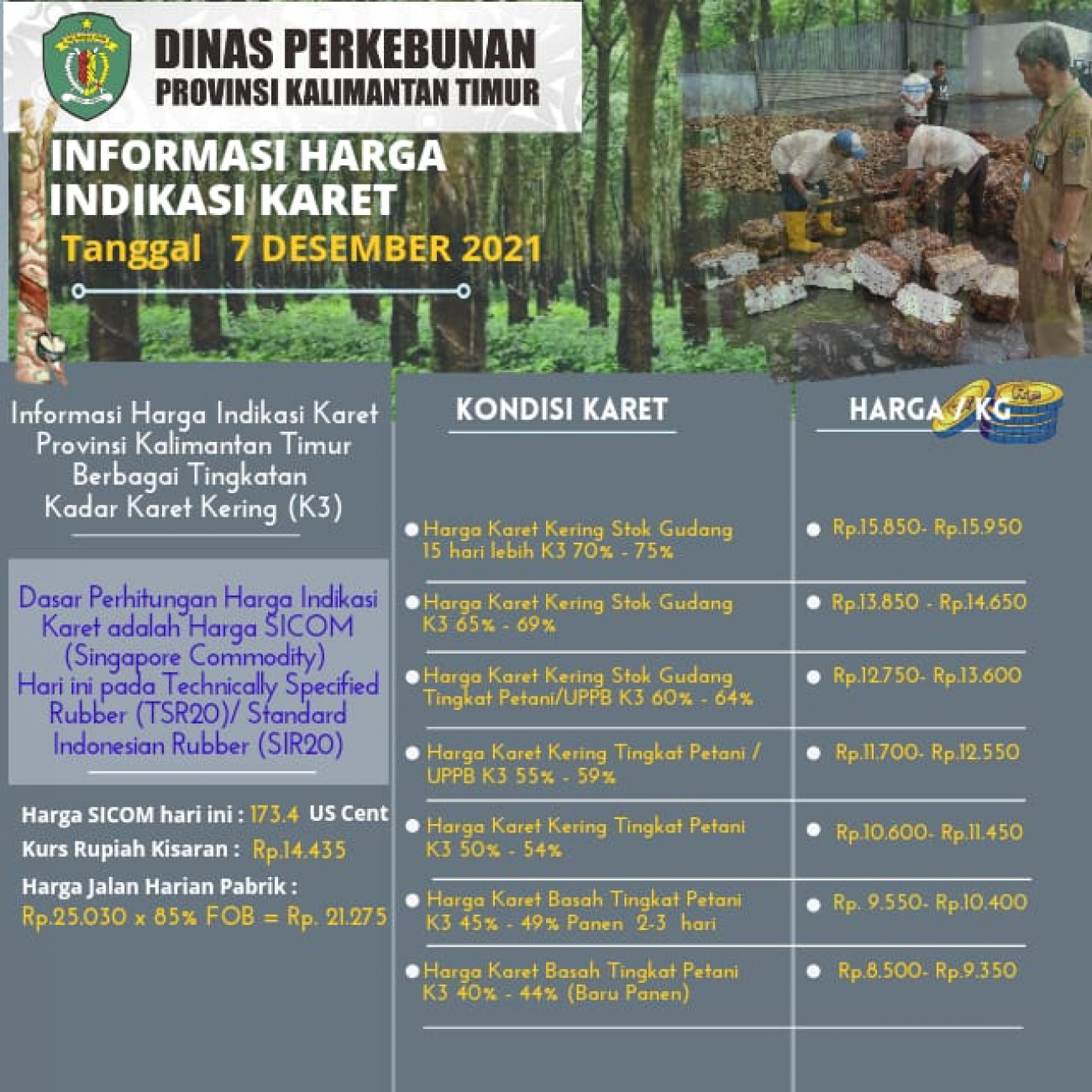 Informasi Harga Indikasi Karet Per 7 Desember 2021