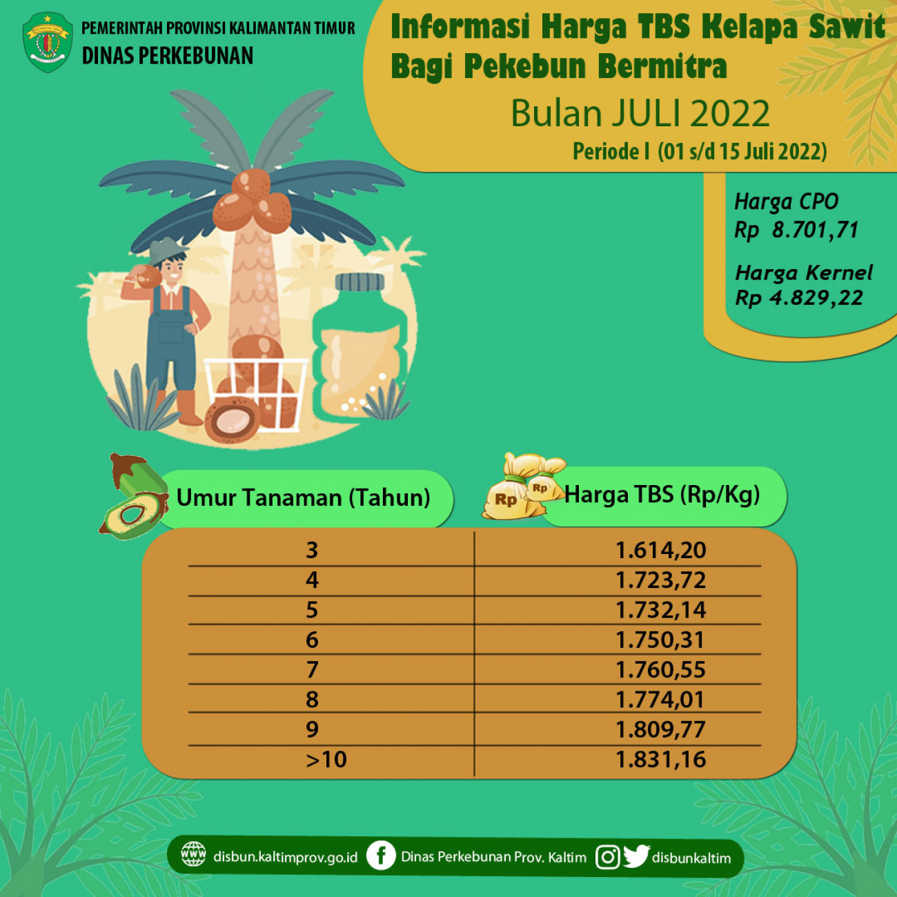 Informasi Harga TBS Kelapa Sawit Bagi Pekebun Bermitra Periode 1 - 15 Juli 2022