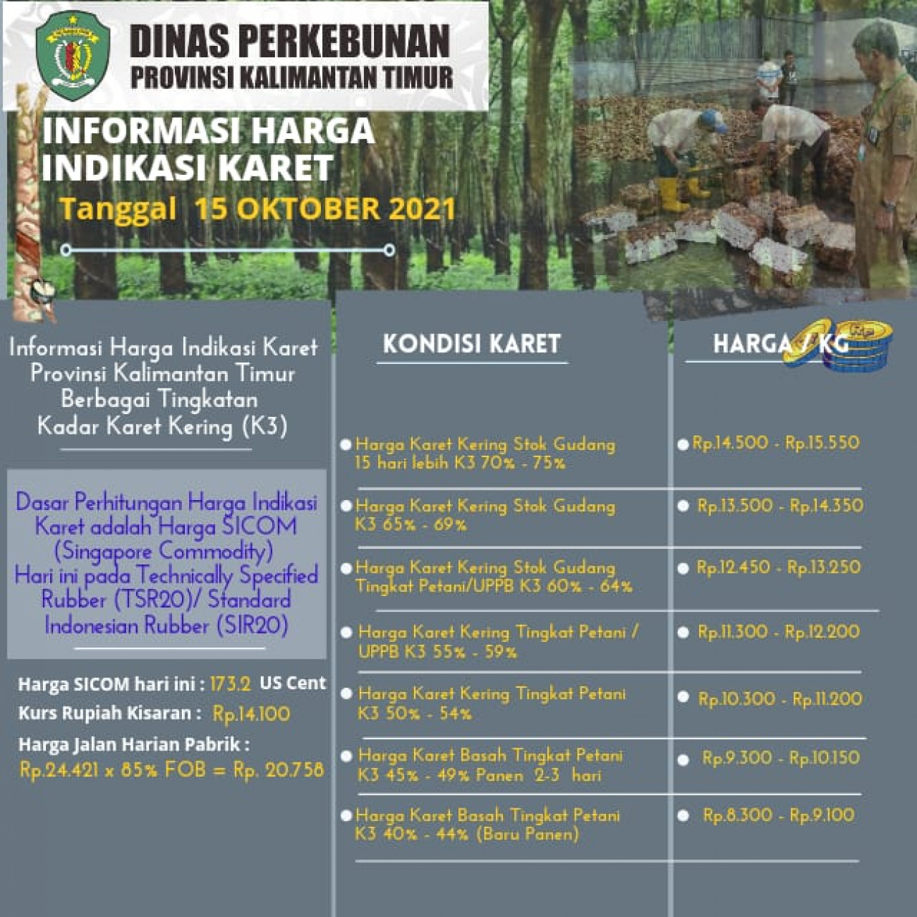 Informasi Harga Indikasi Karet Per 15 Oktober  2021