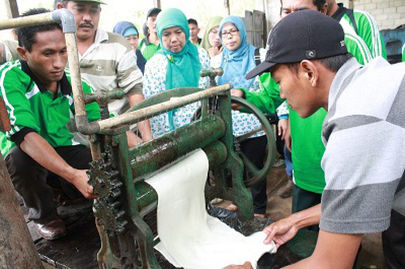 Komoditi Karet Masih Menjanjikan