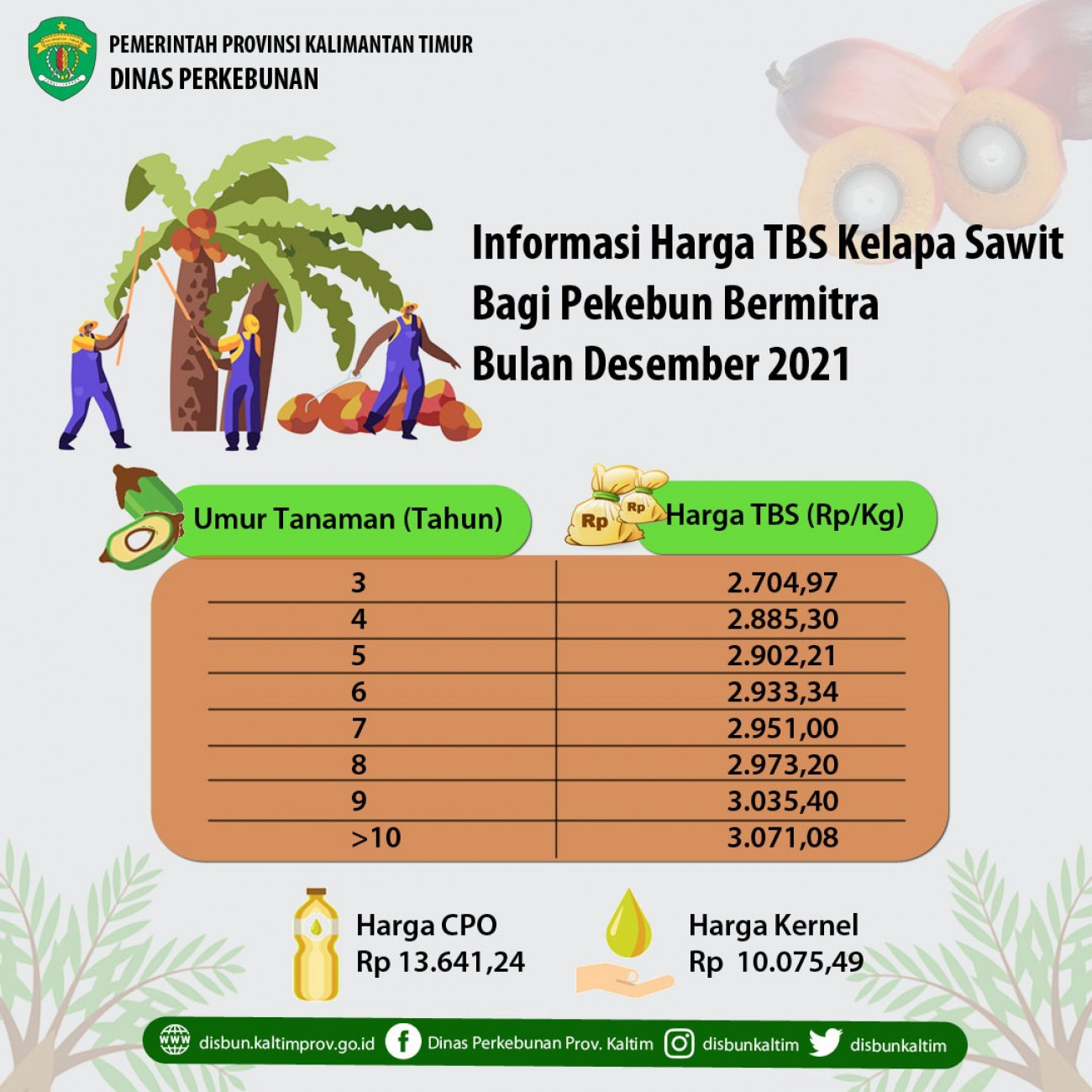 Informasi Harga TBS Kelapa Sawit Bagi Pekebun Bermitra Bulan Desember 2021