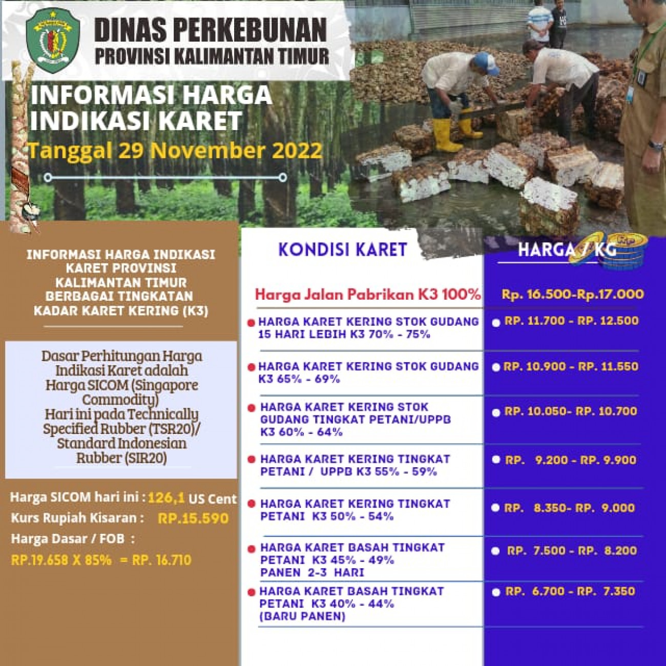 Informasi Harga Indikasi Karet Per 29 November 2022