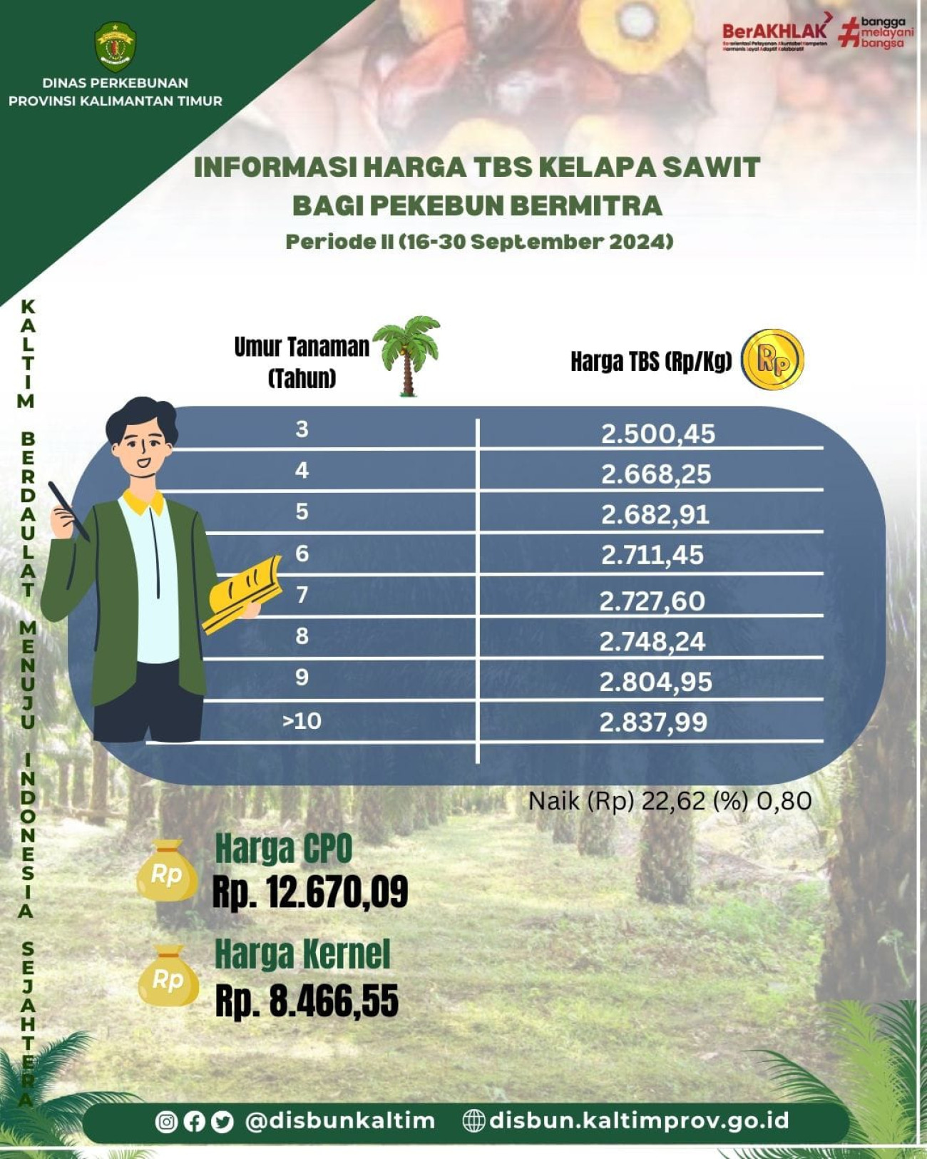 Informasi Harga TBS Kelapa Sawit bagi Pekebun Mitra Periode II Bulan September 2024