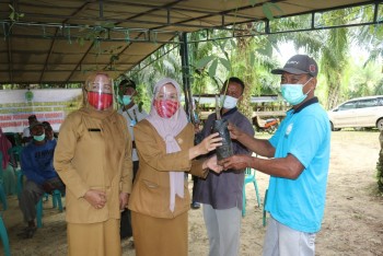 Penguatan Kelembagaan Petani Karet Melalui Dinamika Kelompok