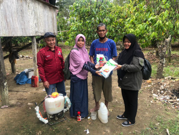 Disbun Intensifkan Pengendalian Penyakit Busuk Buah Kakao