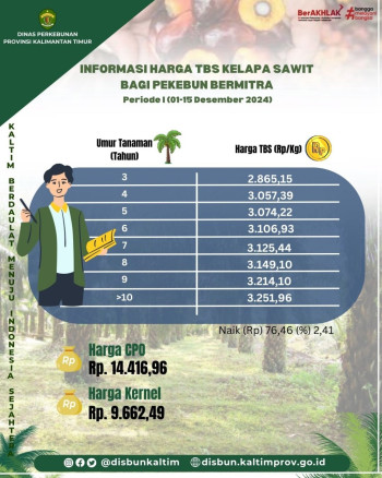 Informasi Harga TBS Kelapa Sawit bagi Pekebun Mitra Periode I Bulan Desember 2024