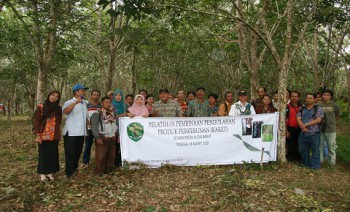 Petani Karet Dilatih Olah Produk Hasil Perkebunan