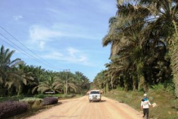 Sanksi Bagi Perusahaan Tambang dan Sawit yang Gunakan Jalan Umum