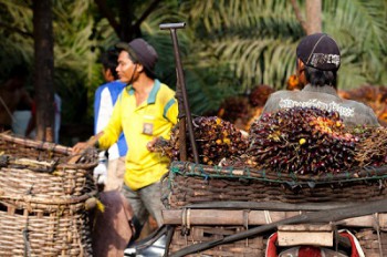 PPU Gandeng 11 Perusahaan Sediakan Plasma